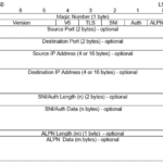 HF PEP Protocol