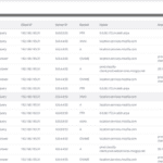 Icon-Pep DNS Queries